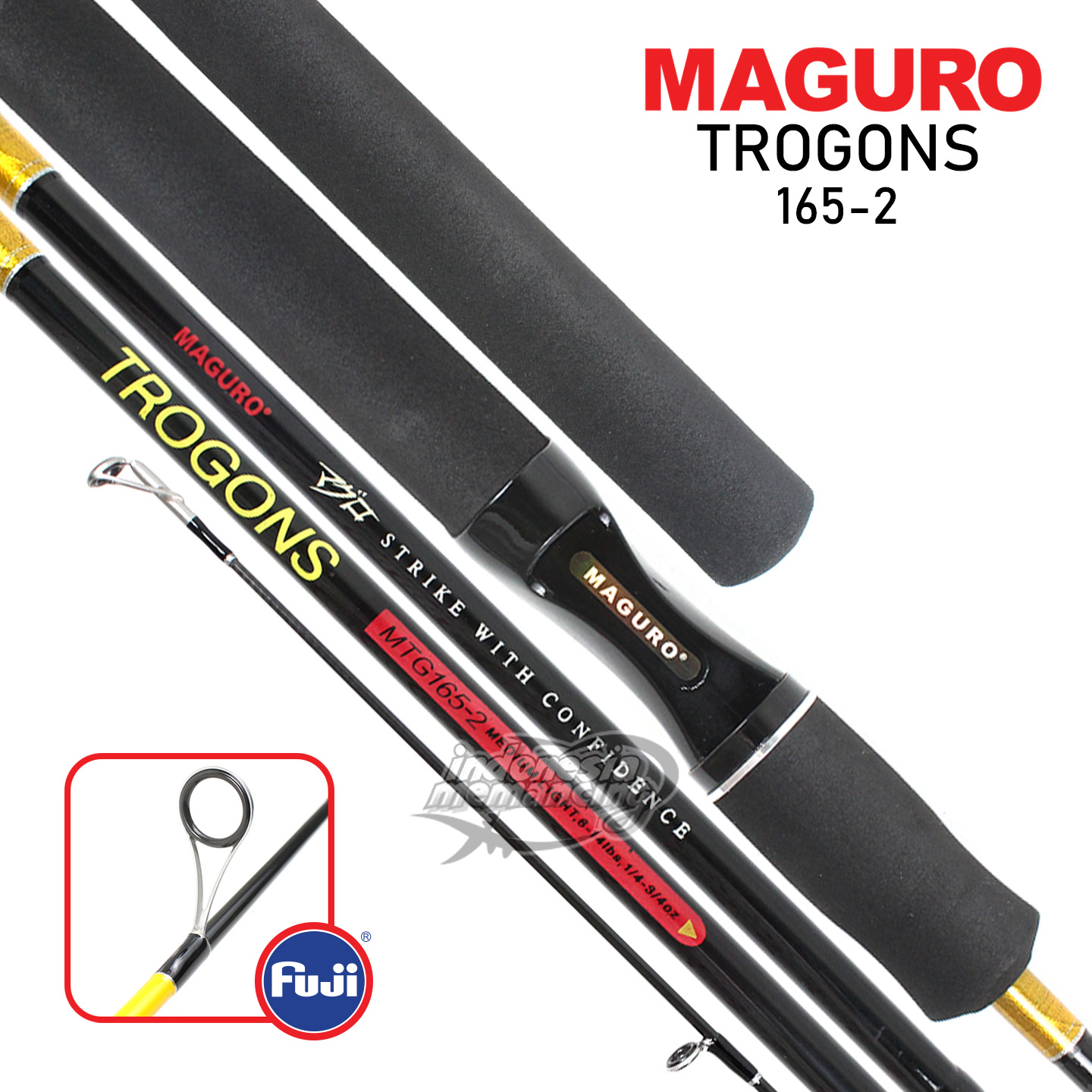 Joran Maguro Trogons